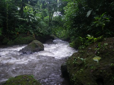 river photo